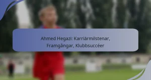 Ahmed Hegazi: Karriärmilstenar, Framgångar, Klubbsuccéer