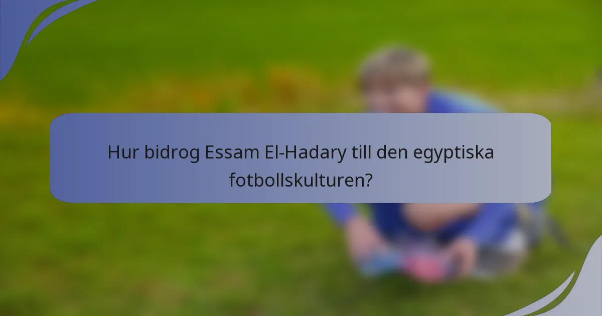Hur bidrog Essam El-Hadary till den egyptiska fotbollskulturen?