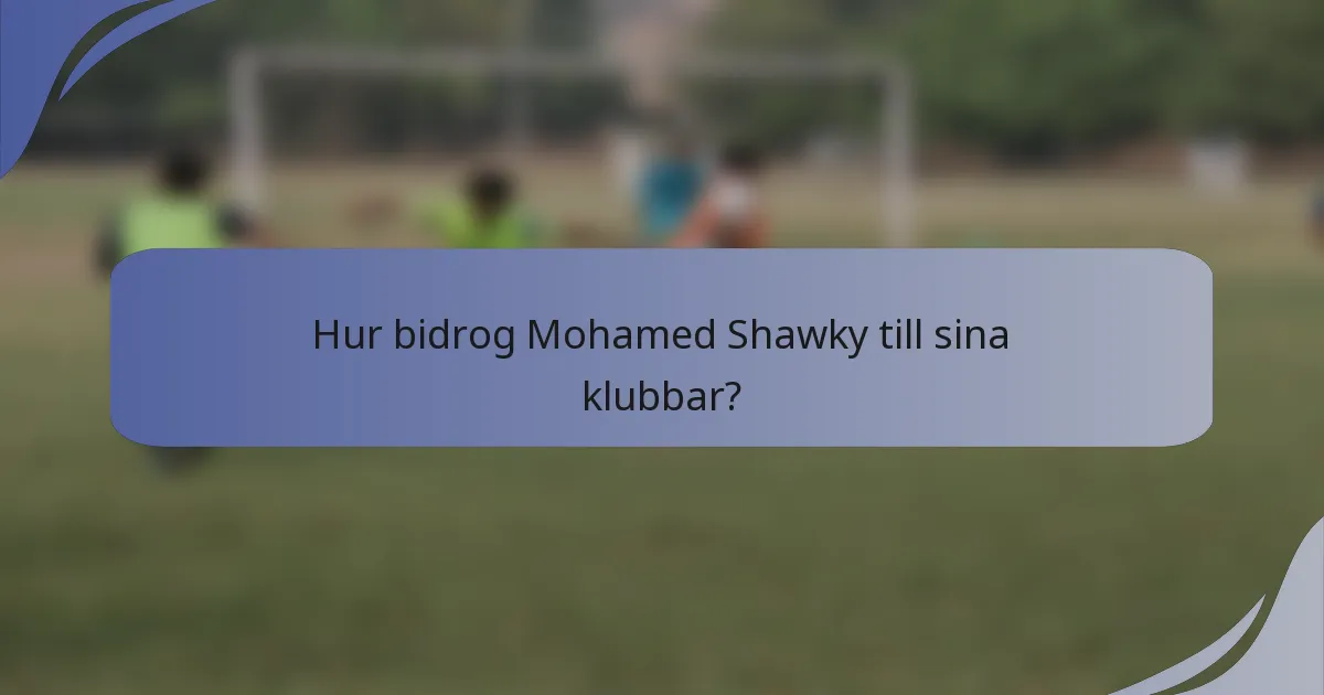 Hur bidrog Mohamed Shawky till sina klubbar?