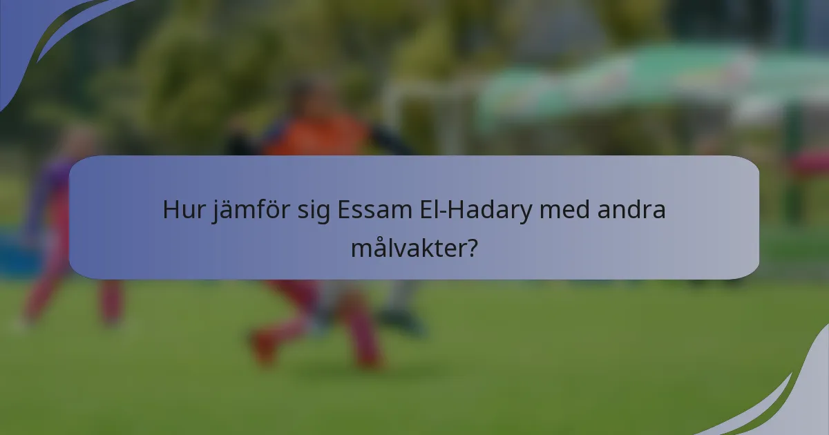 Hur jämför sig Essam El-Hadary med andra målvakter?
