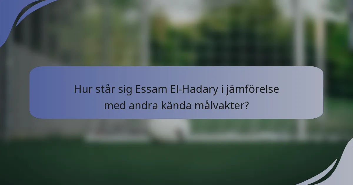 Hur står sig Essam El-Hadary i jämförelse med andra kända målvakter?