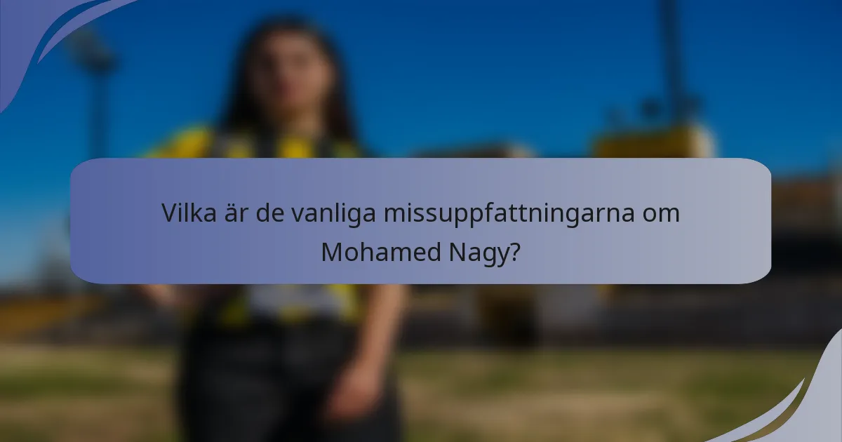Vilka är de vanliga missuppfattningarna om Mohamed Nagy?