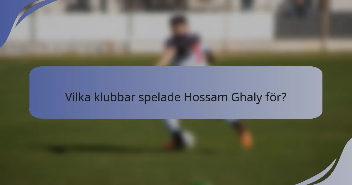 Vilka klubbar spelade Hossam Ghaly för?