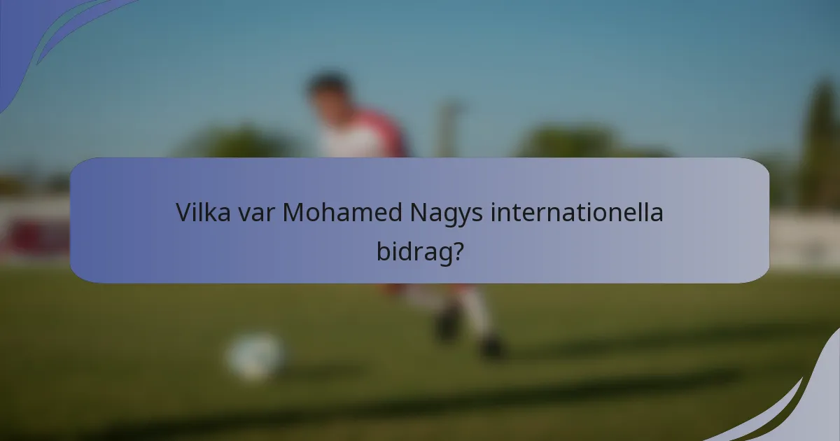 Vilka var Mohamed Nagys internationella bidrag?